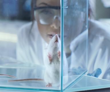 Research Involving Animals